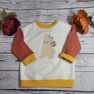 Embroidered Kids /Toddler Crewneck/Fall Crewneck